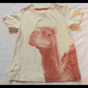 Tea Collection Size 4T Tee